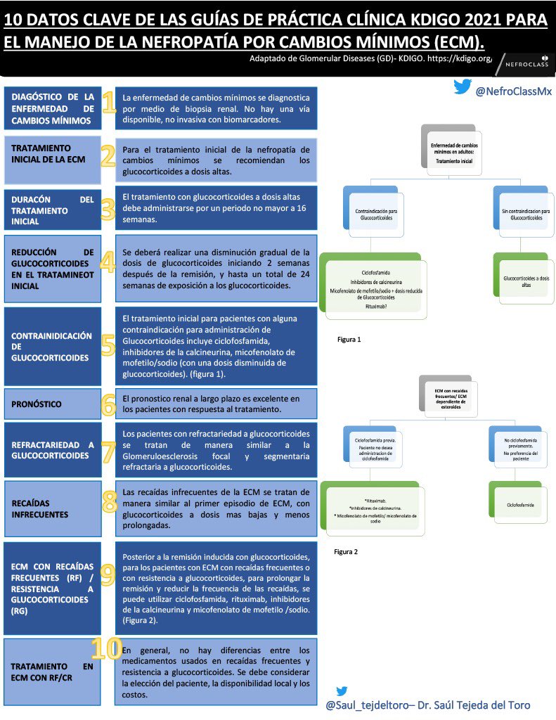 2 de 6: Nueva entrega “ 10 puntos claves de las guías <a href="/goKDIGO/">KDIGO</a> en el manejo de la #ECM”
Traducción:Dr. Saúl Tejeda <a href="/saul_tejdeltoro/">Saúl Tejeda</a> 
<a href="/Vernisartan/">Verner Venegas</a> <a href="/AvelRomanNeph/">Avel con V chica 🥸</a> <a href="/FranLoachamin/">Franklin Loachamin</a> <a href="/dianarodespi/">Diana Rodríguez Espinosa</a> <a href="/NefrologiaINC/">Nefrología INC</a> <a href="/SLANH_/">SLANH</a> <a href="/DeNefrologos/">Colegio de Nefrólogos de México A.C.</a> <a href="/IMINmx/">IMIN</a> <a href="/SENefrologia/">S.E.N. Nefrología</a> <a href="/nefrologicos/">Miércoles Nefrológicos</a> <a href="/nefrocmnlr/">Nefrología CMN La Raza</a>