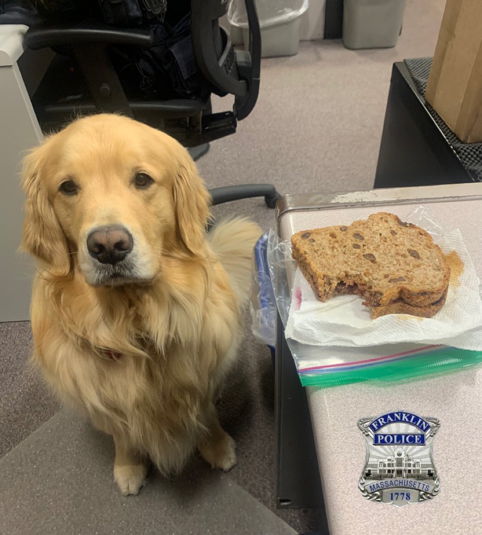 Can Dogs Smell Drugs Through Peanut Butter