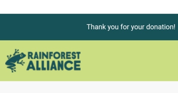 It's donation day! A big thank you to all our wonderful clients for their support. #ecoparties #rainforestalliance
