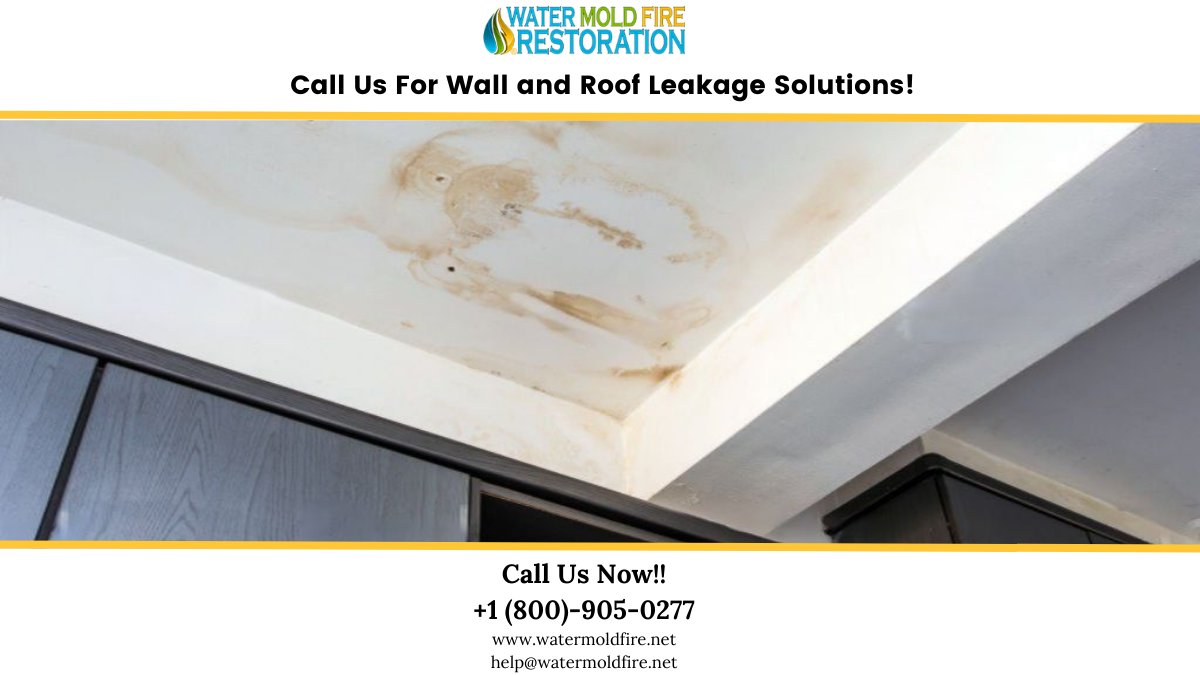 Are you tired of wall and roof leaks? Just take a deep breath and Contact Water Mold Fire Restoration and get it fixed right away. Get the best services at the best rates!
Call:- 800-905-0277
Mail:- help@watermoldfire.net
Visit:- pos.li/2ia7vo
#waterleak #waterleakage
