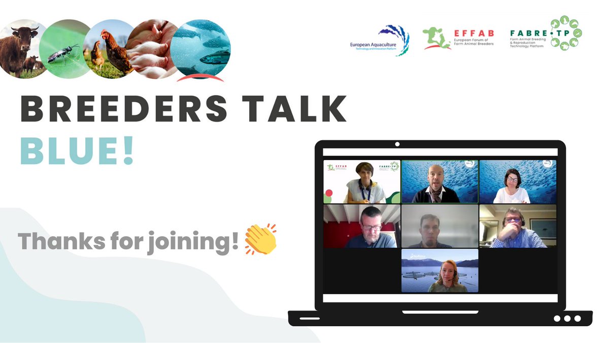 🤗We would like to thank all speakers and more than 1⃣0⃣0⃣ attendees at today's webinar #BreedersTalkGreen focused on #aquaculture💧

🧬🐟We hope you enjoyed and learned more about #GeneEditing and #AnimalBreeding in aquaculture. 

🎥Stay tuned for the recording!