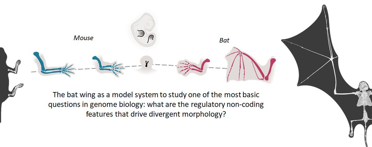Stefan Mundlos tweet media