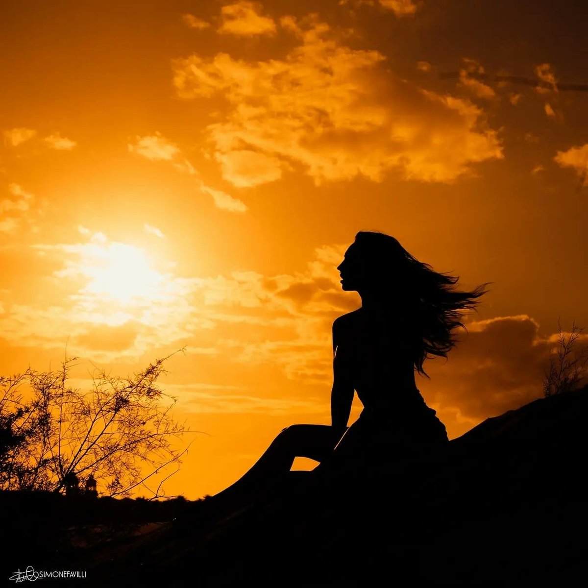 simone favilli (@simonefavilli) on Twitter photo 