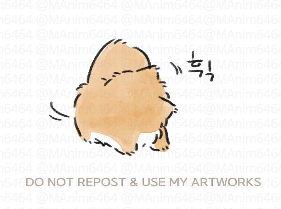 Manim6464's tweet photo. 아기쭌냥 꼬리 잡기 (4/6) https://t.co/4SzzuJBQkI