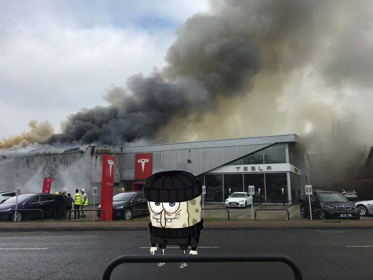 DoomSponge's tweet image. 