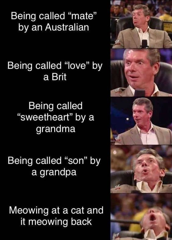 WholesomeMeme's tweet photo. https://t.co/5ebU1zVmtb