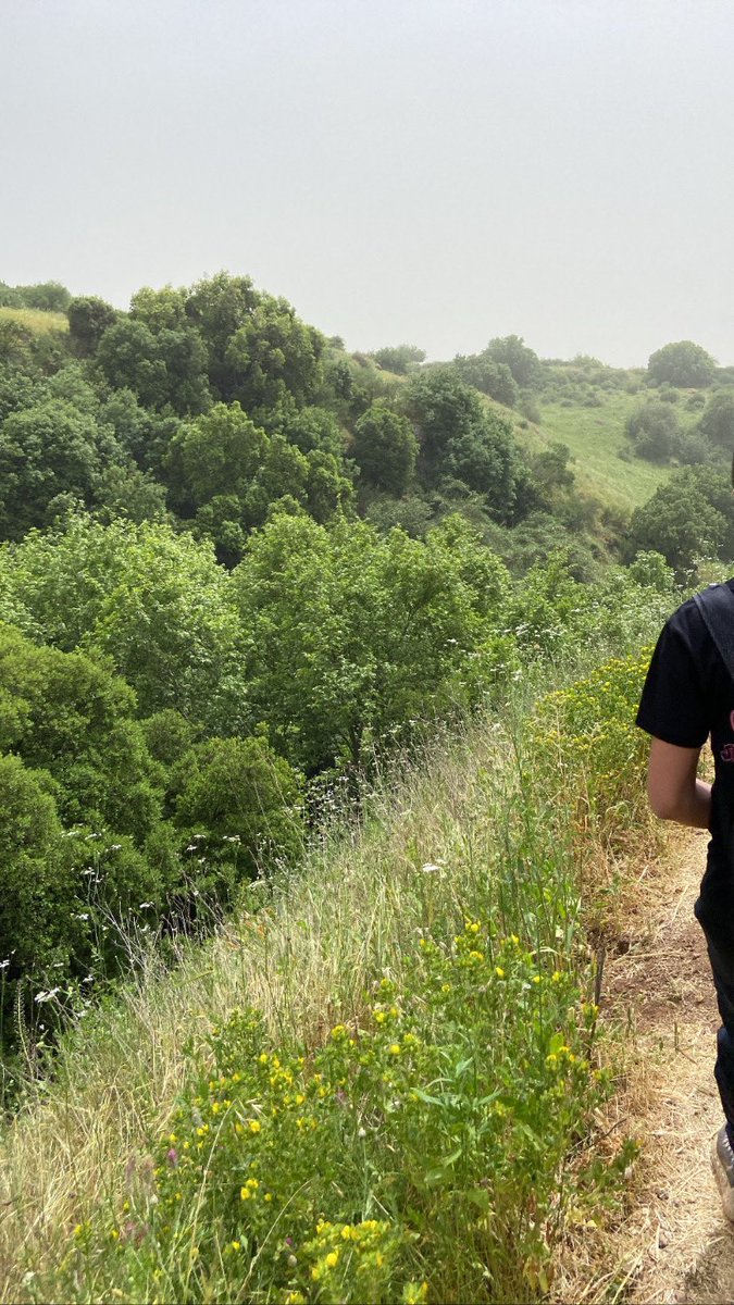 Took a little rest today 
From #nfts and traveled at the nature 
Balance is important ❤️
#NFT #NFTCommunity #nft #naturelovers #nature