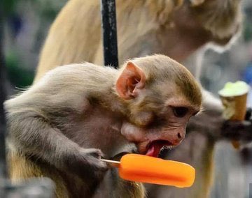 mpho_fuki's tweet photo. @Mr_Moagi_Evans 😂😂😂😂 https://t.co/mSgtTHS1hb