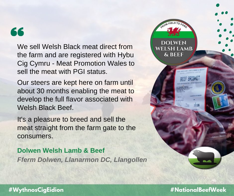 Welsh_Blacks's tweet photo. π₯©ππ²ππ‘π§π¨π¬ ππ’π ππ’ππ’π¨π§ - ππππ’π¨π§ππ₯ ππππ ππππ€π₯©
Braf cael rhannu ychydig o hanes Fferm Dolwen ger Llangollen wrth i ni ddathlu Cig y Gwartheg Duon.
Great to share abit about Dolwen Farm near Llangollen as we celebrate Welsh Black Beef this week! https://t.co/fdqtETd3I5