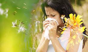 GoldenEye_Oint's tweet photo. With hay fever season in full swing, check out our Pollen Calendar giving you an idea of when different pollens are likely to cause problems
https://t.co/fHQPsJM5rt
#hayfever #pollen #pollencount #selfcare https://t.co/55yl6OzeDs
