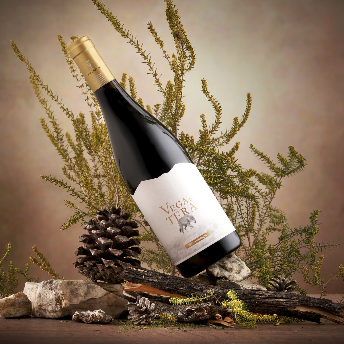 Un partido de tu equipo favorito, un plato de embutidos variados y una botella de Vega de Tera Tinto 100% Tempranillo

¿Qué mejor plan?

#vino #wine #spain #winelovers #españa #food #bodega #redwine #foodie #enoturismo