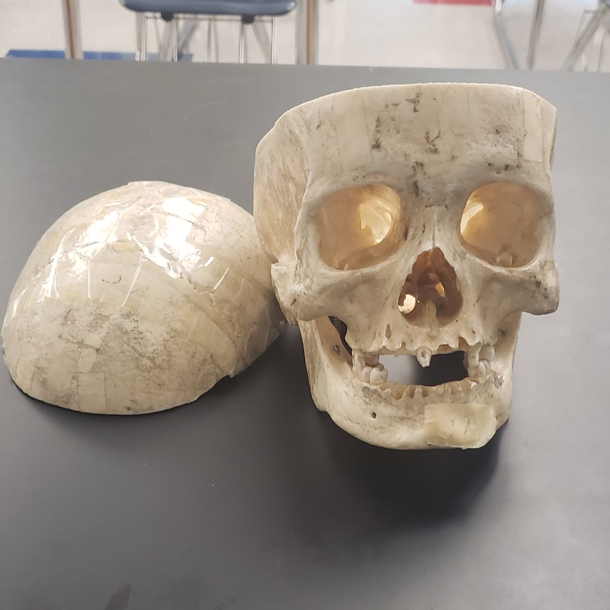 beingjeannie_'s tweet photo. Back at school this morning after a field trip yesterday and found this on my desk. #scienceteacherlife https://t.co/Sx60HljhRq