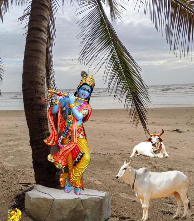 Monik0997's tweet image. ट्विटर पर उपस्थित सभी सनातनी भक्तों को
༆ राधे_______🕊️🍃🕊️_____राधे༆
༆ शुभ______🕊️🍃🕊️____संध्या༆
🦋🙏🦋