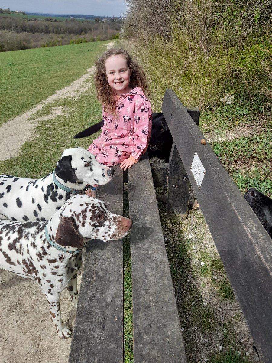 lizziesummer123's tweet photo. Millie helping me walking the dogs on half term week. Unfortunately she has chickenpox this week, very mild so lots more dog walks and fresh air to come this week.  Also enjoying nan and grandads new puppy 🐶 @MissMossYear1 @SwingatePrimary https://t.co/RiOglsPsbF