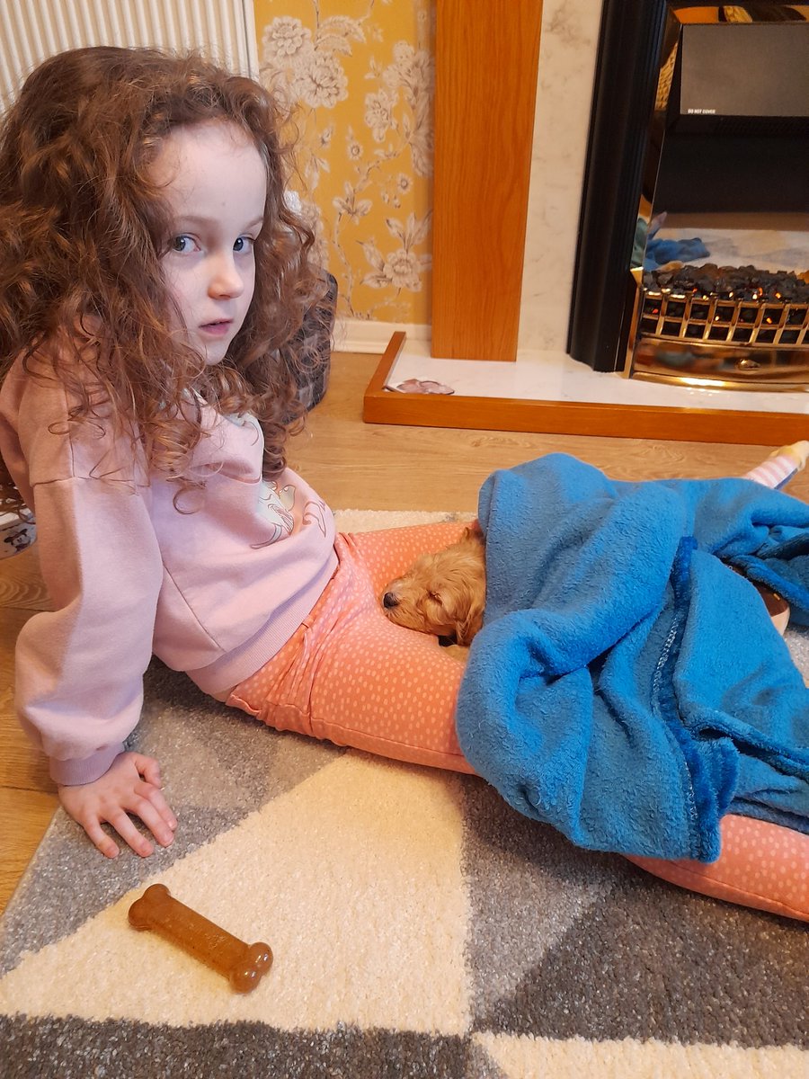 lizziesummer123's tweet photo. Millie helping me walking the dogs on half term week. Unfortunately she has chickenpox this week, very mild so lots more dog walks and fresh air to come this week.  Also enjoying nan and grandads new puppy 🐶 @MissMossYear1 @SwingatePrimary https://t.co/RiOglsPsbF