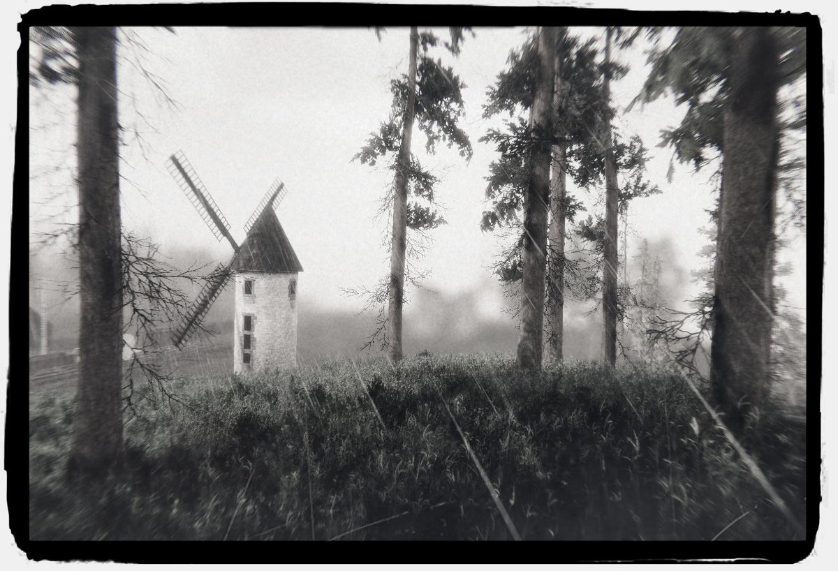 Working on the weather system. Here is a bit of rain :-)

#100DaysofGameDev #gamedev #IndieGameDev #indiegames #madewithunity #VirtualPhotography