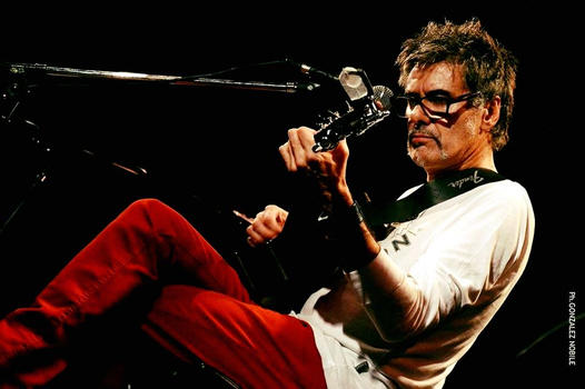 fena della maggiora tweet media