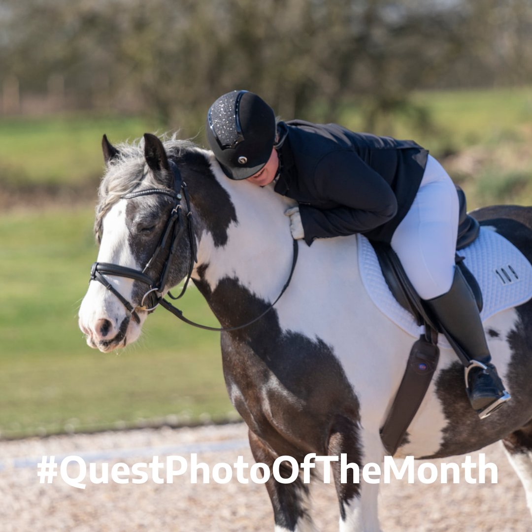 Quest Club BD tweet media