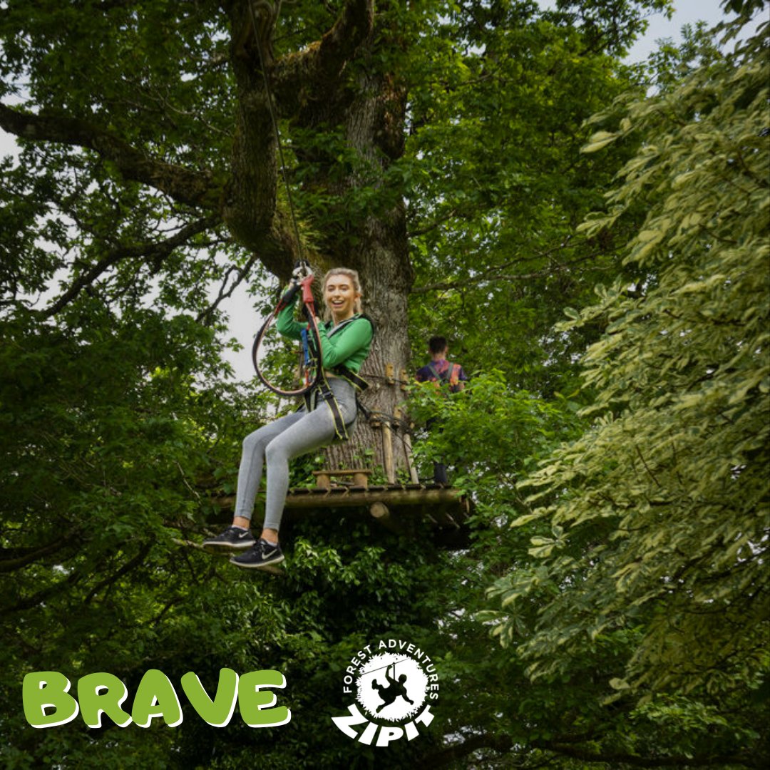 Zipit Forest Adventures tweet media