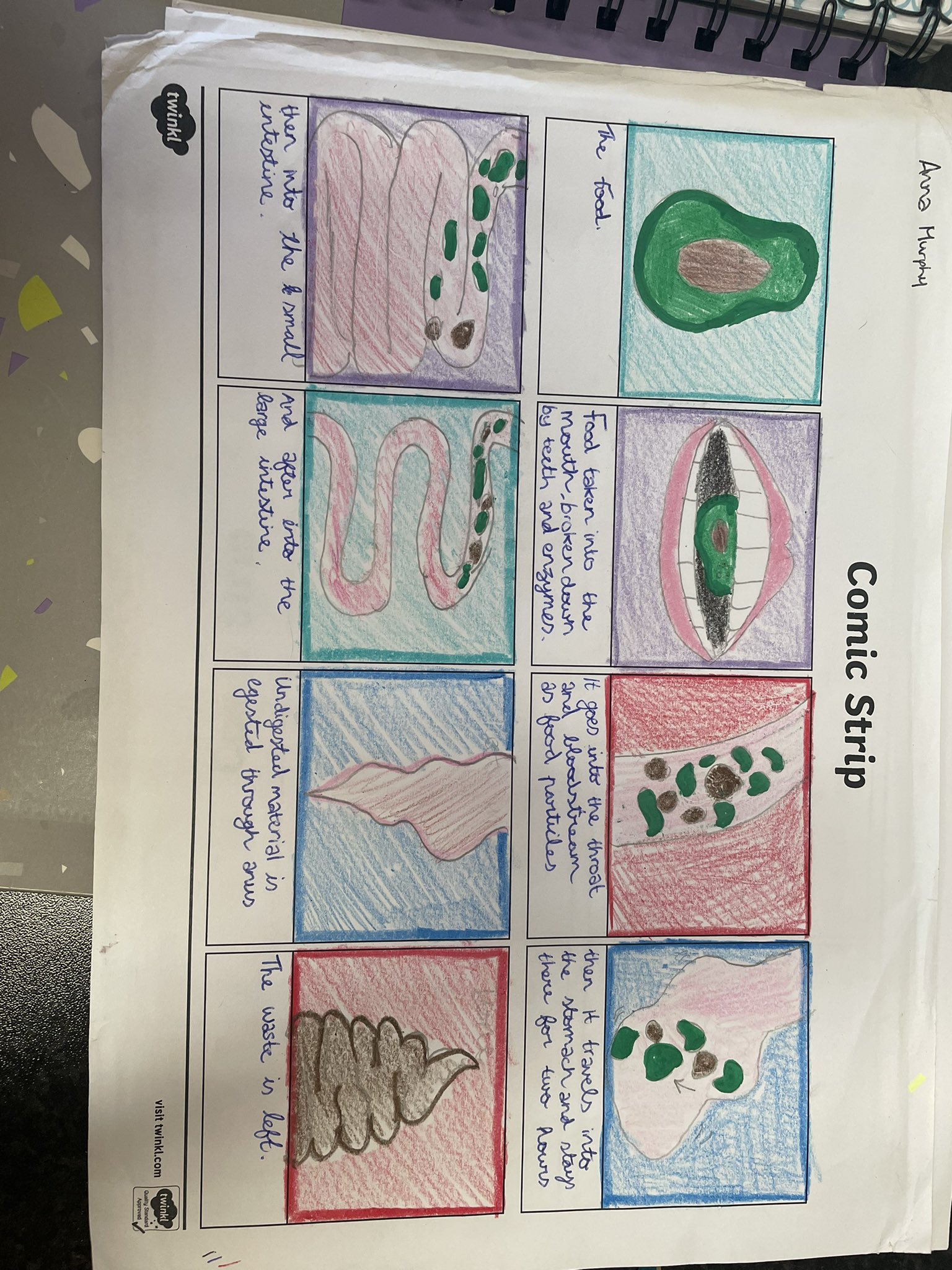 Comic Strip Of Digestive System - dp5bioe