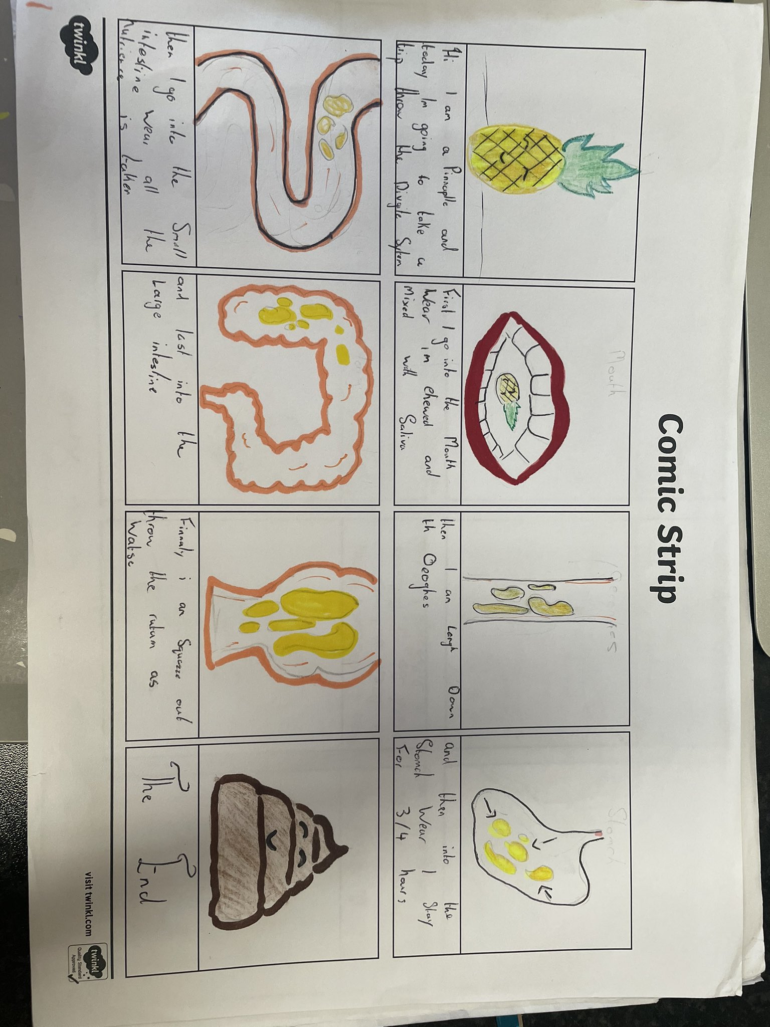 Comic Strip Of Digestive System - mp3dkpr