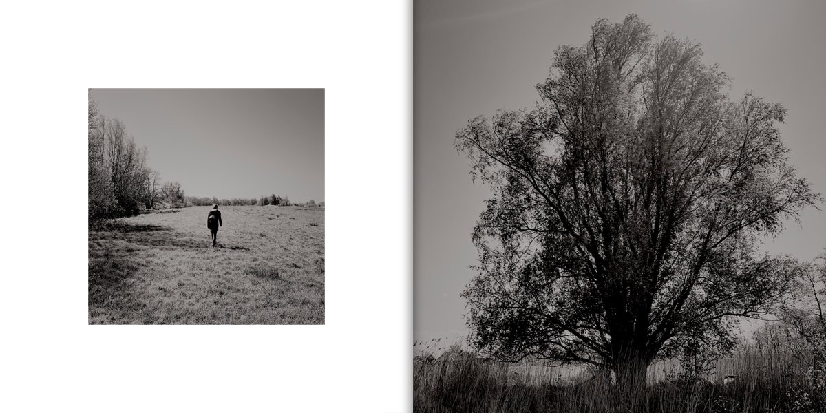 lucianopinna's tweet photo. Impression of a hike this weekend in the Groene Jonker. One of the strangest walks in ‘nature’. [10 of 10 spreads]
https://t.co/ctbeekBqmd
#landscapephotography #groenejonker #hiking #photography #art https://t.co/5OQDKwZ8qy