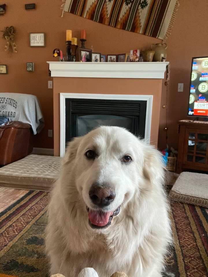 Good Bye Twitter friends.  I will miss you.  BUT, I do not trust Elon Musk and I do not like him, so I am leaving and deactivating my account.