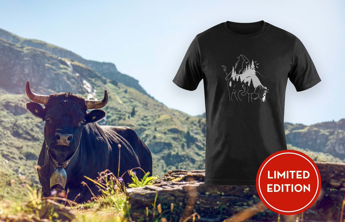 valaiswallis's tweet photo. Mit dem @valaiswallis #Eringer #TShirt seid für den nächsten #Ringkuhkampf perfekt ausgestattet. Bestellt ihn jetzt auf: https://t.co/CI5ht8QgFR Die Lieferung erfolgt vor dem Nationalen Eringer Kuhkampffinale welches am 8. Mai auf @SRF und @canal9valais ausgestrahlt wird. https://t.co/NPUdkMkSlj