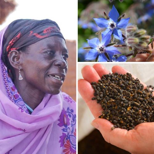 Looking at approaches to communicate better with your audience and using insights to improve your content is the tip of the iceberg. This is something that the No7 Beauty Company has proven they are doing to make a difference.

no7company.com/what-we-believ…

#sustainable #business