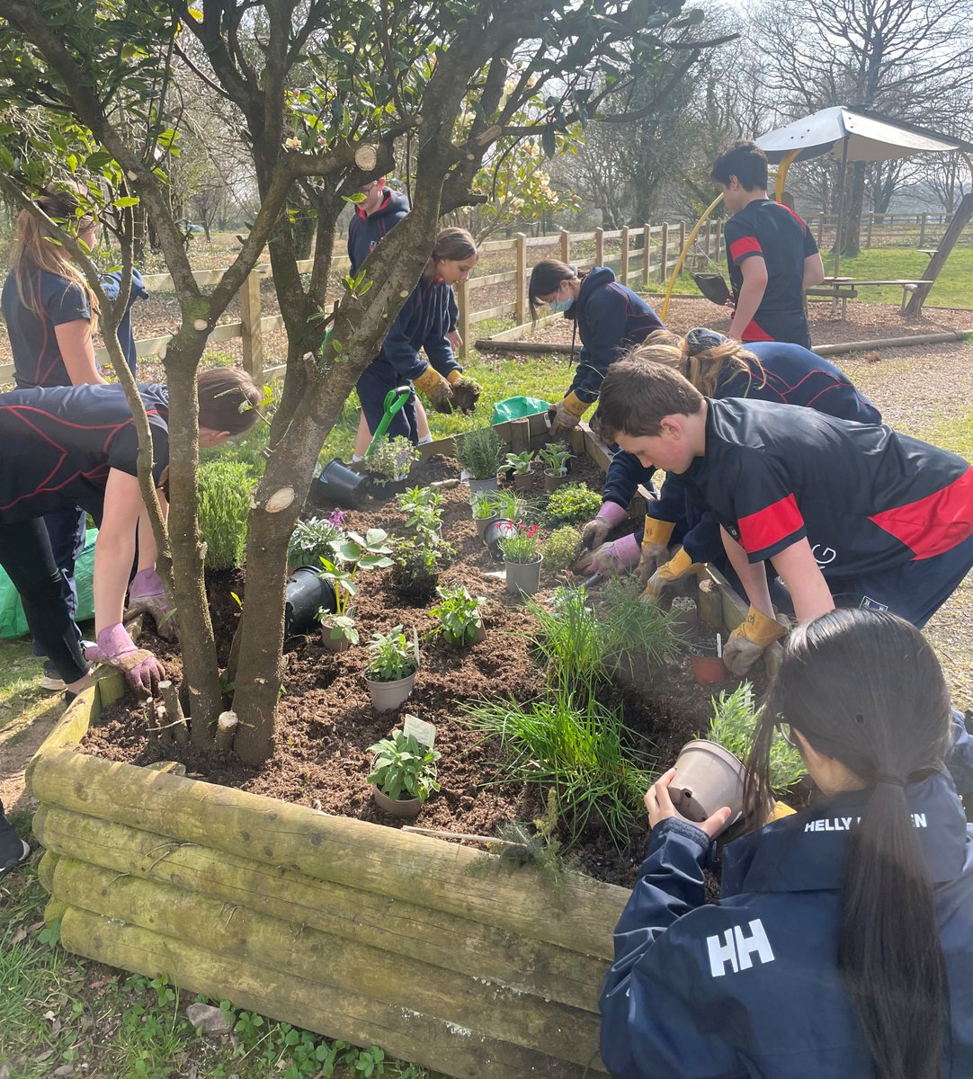 Mount_Kelly's tweet photo. Our #Yelverton Play Park #volunteers have been busy designing, preparing and planting a new 'sensory bed' to spruce up a much neglected and overgrown raised bed in the park. The pupils designed the bed to stimulate children's sight, smell, taste and touch. https://t.co/V2hv7XF4Jp