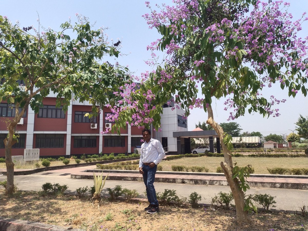 rajendrasikand1's tweet photo. Summer Bloom IIHT .BARGARH.The pinkish purple has its own charm of atraction. https://t.co/Wnncfs18GK