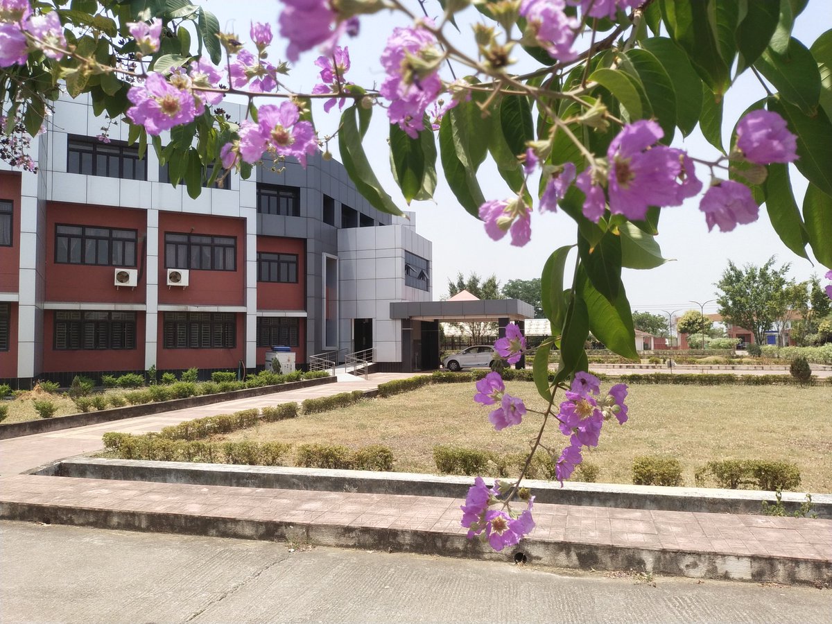 rajendrasikand1's tweet photo. Summer Bloom IIHT .BARGARH.The pinkish purple has its own charm of atraction. https://t.co/Wnncfs18GK