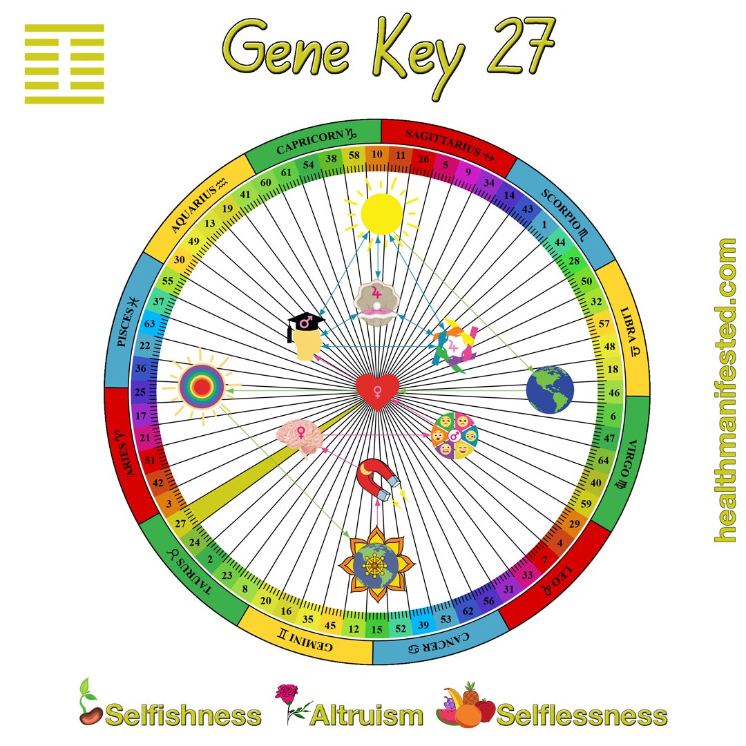 What has been your experience with Gene Key 27?

Some of the keywords I use to describe Gene Key 27 are...
♥ Generosity
♥ Self Sacrifice
♥ Selfish
♥ Nourishment

healthmanifested.com/human-design-g…

#humandesign #humandesigngate27 #genekeys #genekey27