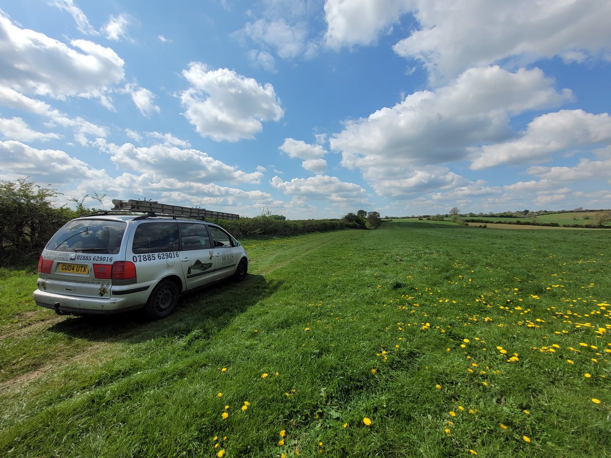 ianthemoleman1's tweet image. Setting mole traps in a haylage field 
#pestcontrol #vermincontrol #molecatcher