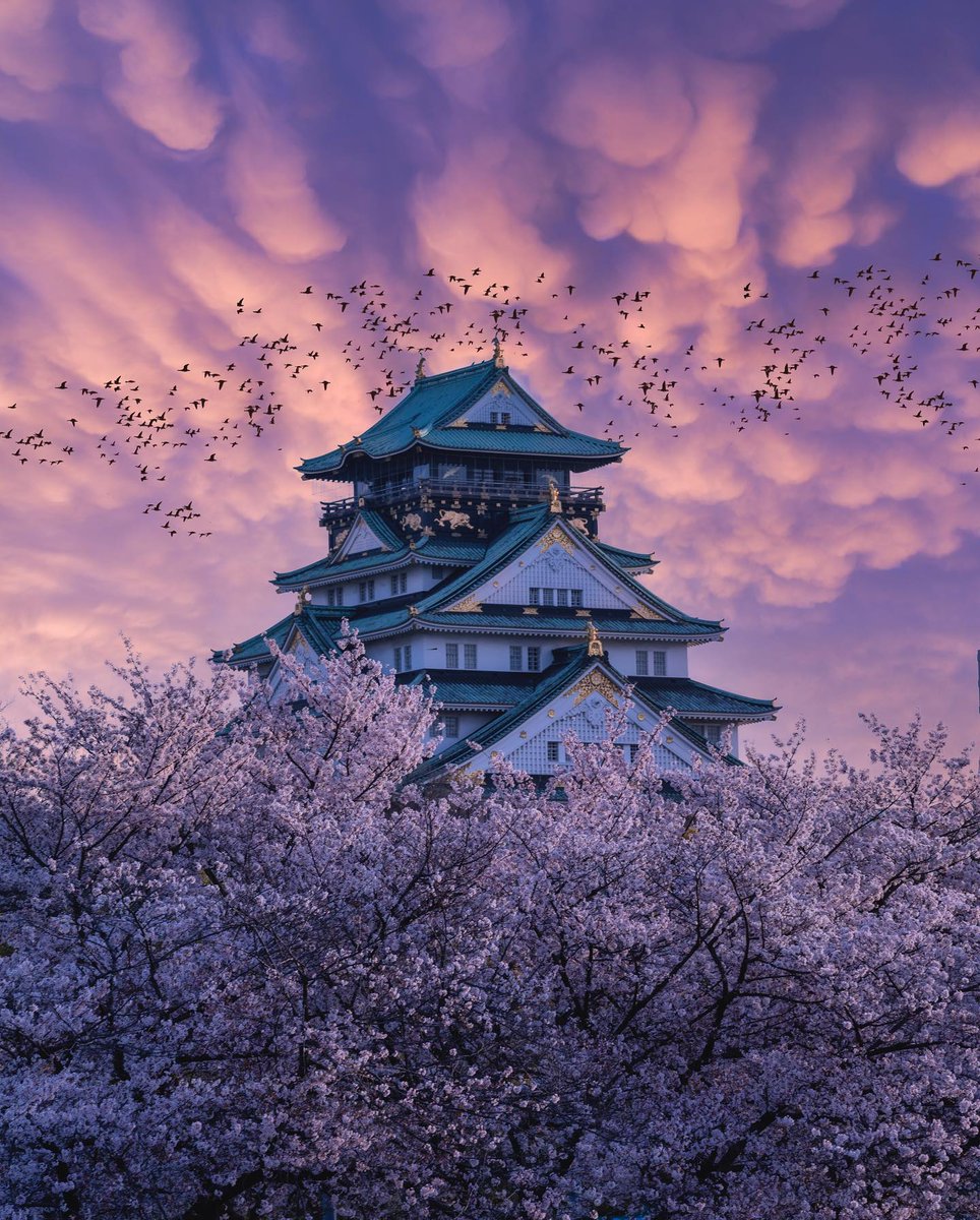 Location: Osaka Castle
Photo by oemarpatex | Instagram