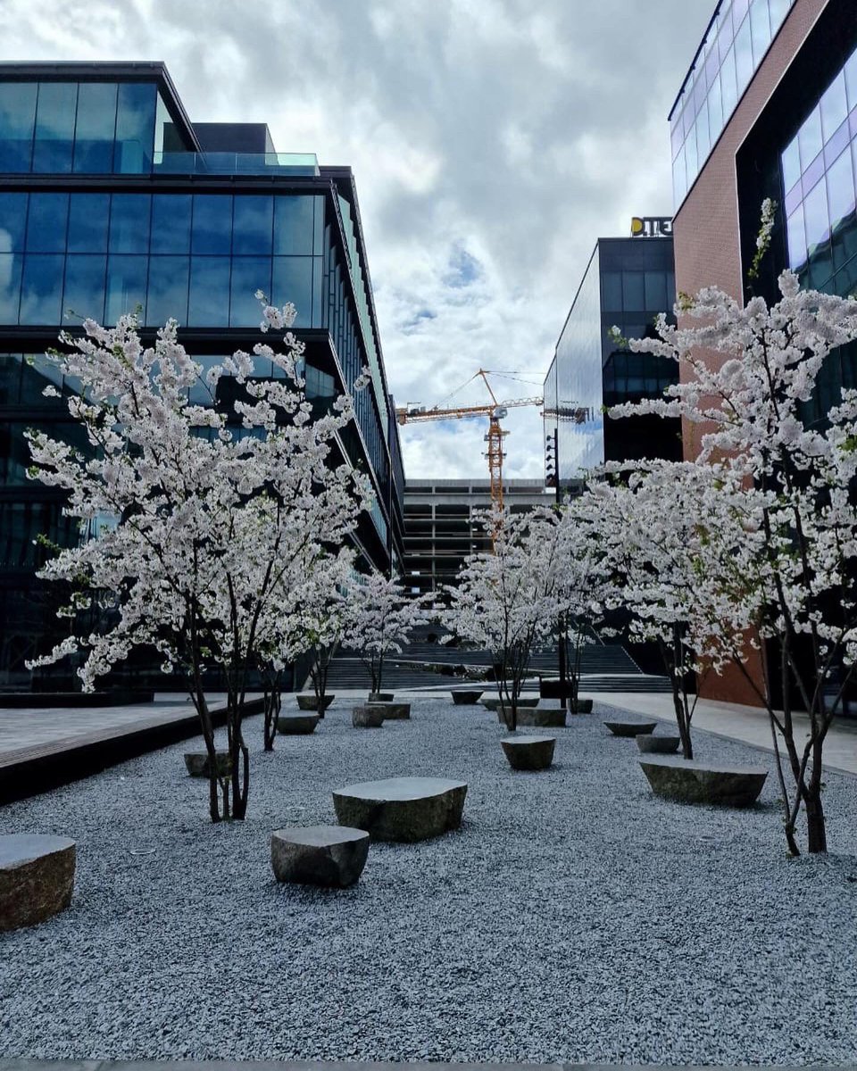 Cherry trees are blossoming at the Unit City campus in Kiev. I will take it as a sign of resilience and hope. These photos show that the business park I was working with is still, amazingly, completely intact. I have so much admiration for the courage of my Ukrainian friends.