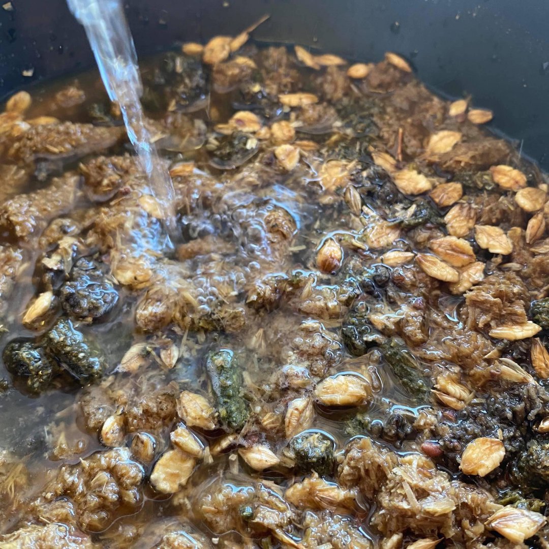 Quest Club BD tweet media