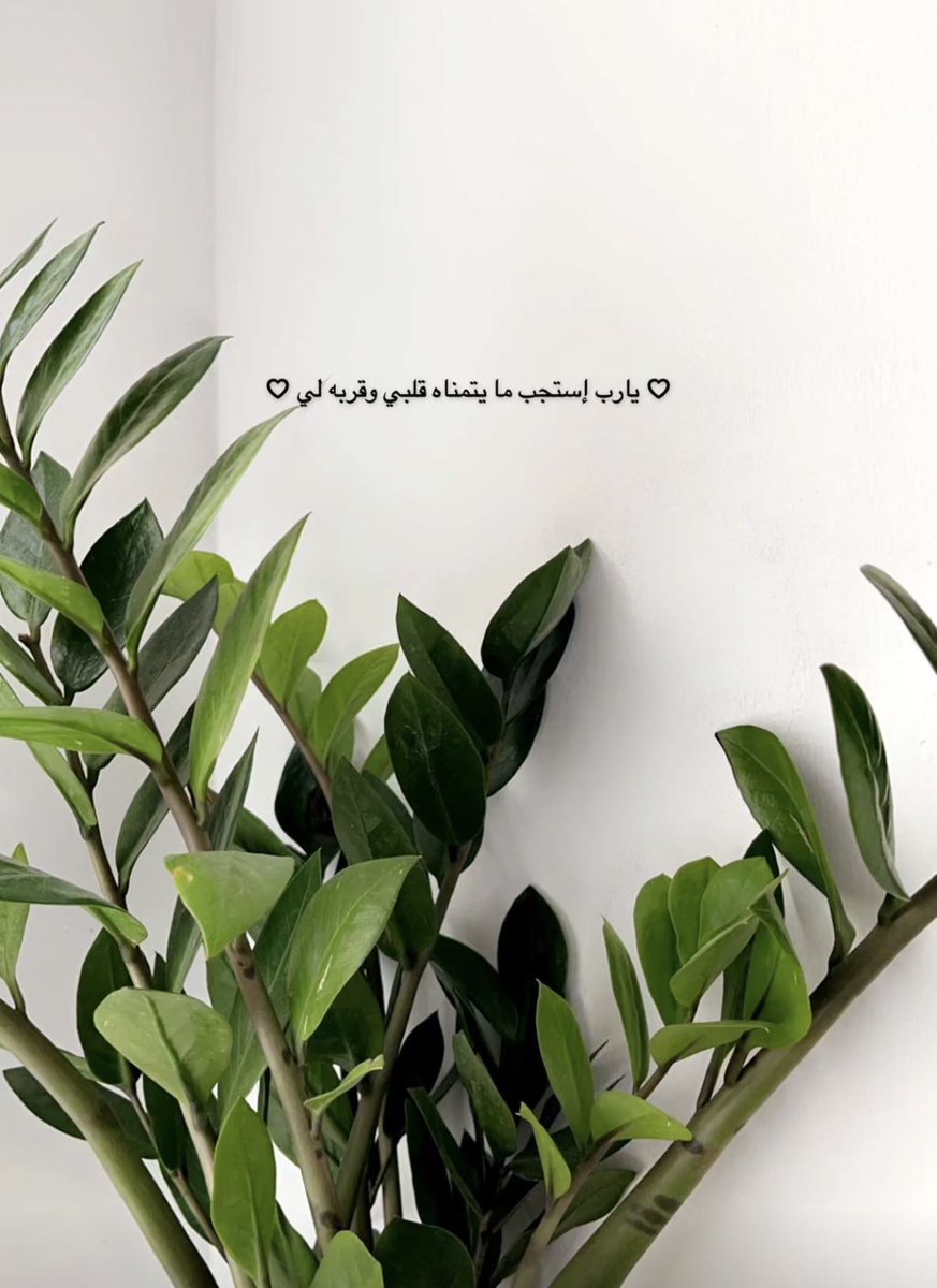 Dima_almajed's tweet photo. https://t.co/wmMASkI86x