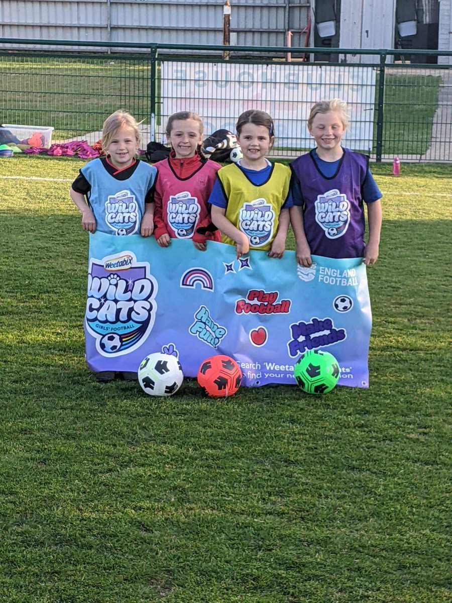 Sholing Youth FC tweet media