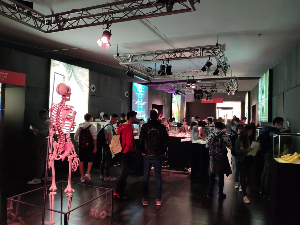 ie_martamata's tweet photo. Ahir ells alumnes de 3r d'ESO vam anar Barcelona a visitar l'exposició Human Bodies. La sortida està relacionada amb el projectes de ciències que estem fent sobre salut. #SecIEMM https://t.co/L0dA3GiyvR