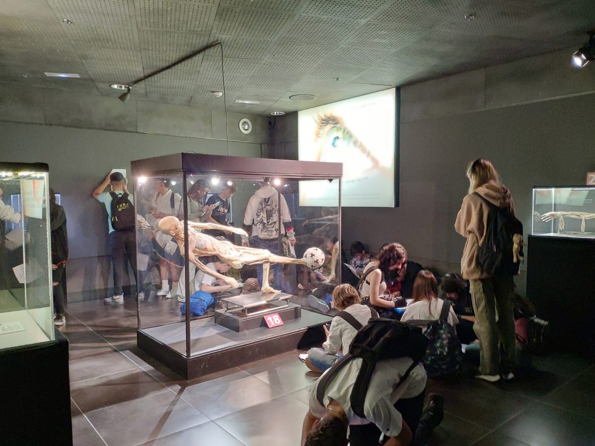 ie_martamata's tweet photo. Ahir ells alumnes de 3r d'ESO vam anar Barcelona a visitar l'exposició Human Bodies. La sortida està relacionada amb el projectes de ciències que estem fent sobre salut. #SecIEMM https://t.co/L0dA3GiyvR