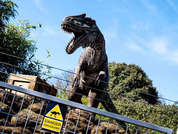 WIN TICKETS TO NORTH NORFOLK ATTRACTIONS! Enter our draw for the chance to win passes for family entry to thirteen top attractions, including @roarr_dino, @Pensthorpe, @Wroxham_Barns & @HolkhamEstate. That's nearly two weeks' of family fun! Enter here bit.ly/3vgoZVB