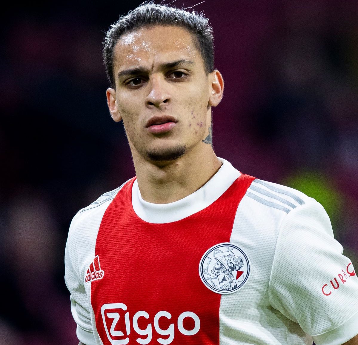 さとぽんず Mcu0dev8fbdbmis Twitter