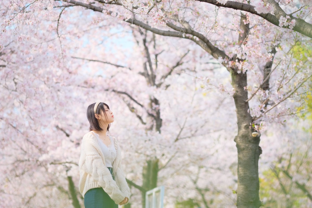 かるるく tweet media