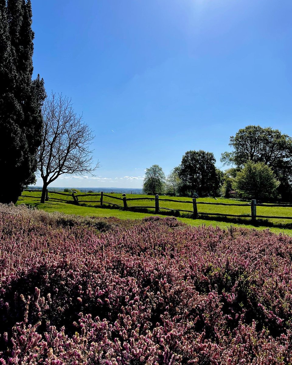 For a brief moment everything was still and everything was OK #nature #trees #plants #flowers