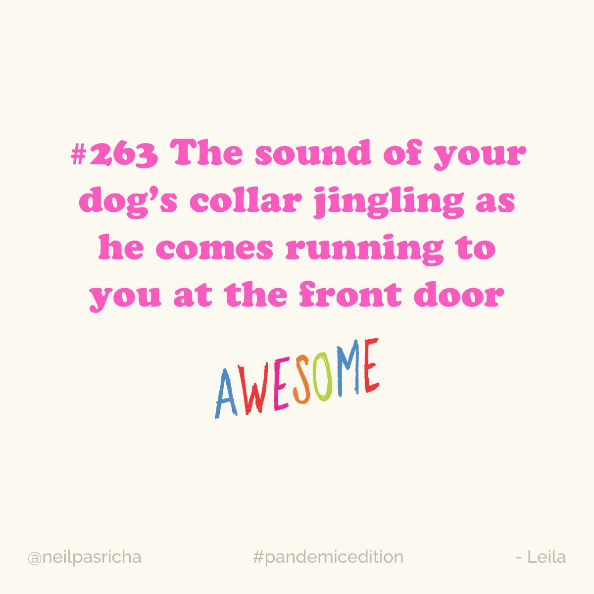 FergDevins's tweet image. small but important joys of the pet owners - as recognized as #awesome by @NeilPasricha and his #pandemicedition of all things #awesome
