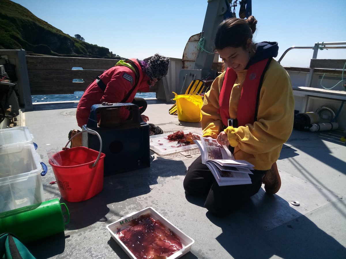 RV MBA Sepia tweet media