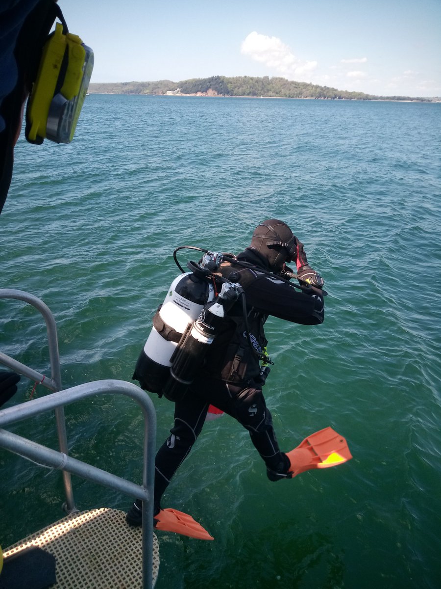 RV MBA Sepia tweet media