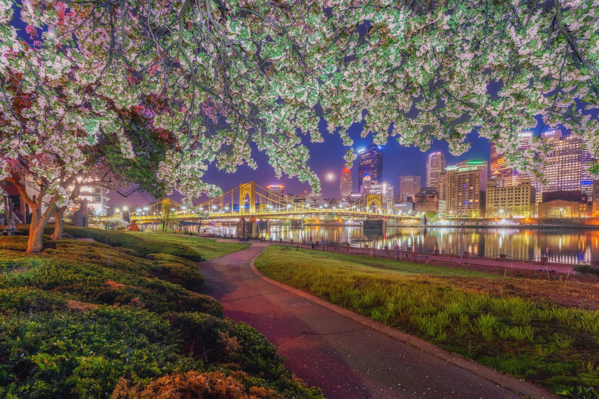 DaveDiCello's tweet photo. Yesterday morning I did some light painting on the North Shore, illuminating the trees near Allegheny Landing as they framed #Pittsburgh and the crescent moon. These are my favorite trees to use with this technique, as they are so full in the spring and catch the light perfectly. https://t.co/uf3NH4Ap1R