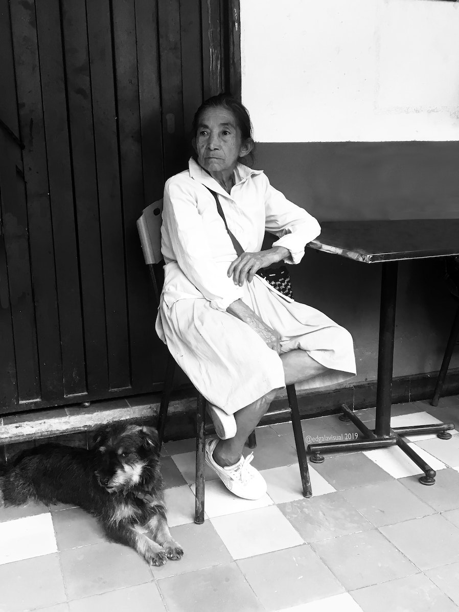 Calling all #doglovers! Man’s best friend takes center stage on Day 26 of #FillingtheWell with a charming poem by #EdithWharton and an enchanting short animated film by #ValérianDesterne. michellehbarnes.blogspot.com/2022/04/fillin… #TodaysLittleDitty #dogs #poetry #inspiration #NationalPoetryMonth